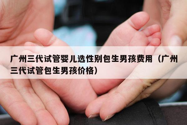 广州三代试管婴儿选XB包生NH费用（广州三代试管包生NH价格）