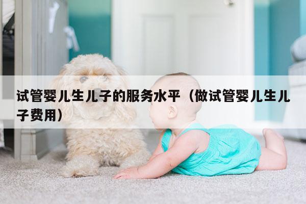 试管婴儿生EZ的服务水平（做试管婴儿生EZ费用）