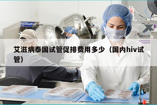 艾滋病泰国试管促排费用多少（国内hiv试管）