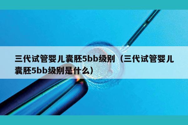 三代试管婴儿囊胚5bb级别（三代试管婴儿囊胚5bb级别是什么）