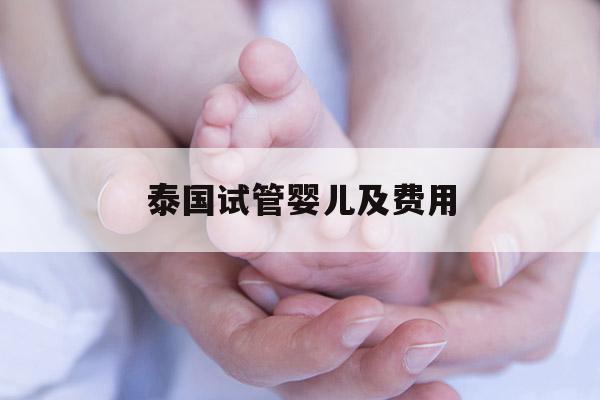 泰国试管婴儿及费用(泰国试管婴儿费用cnangelbaby)