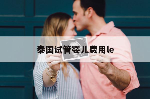 泰国试管婴儿费用le(泰国试管婴儿费用成功率)