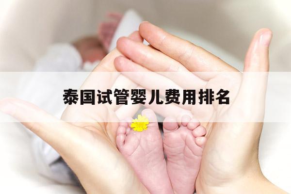 泰国试管婴儿费用排名(泰国试管婴儿费用排名表)