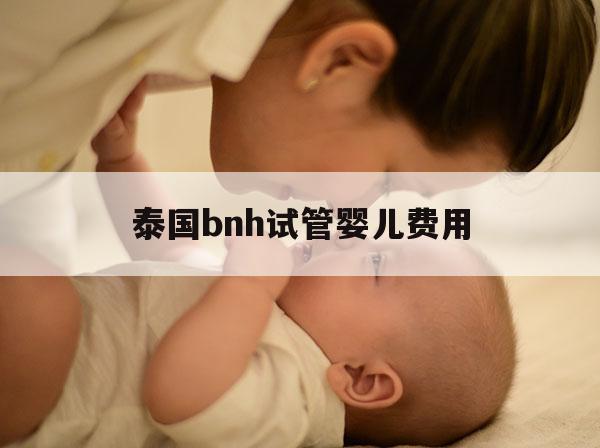 泰国bnh试管婴儿费用(泰国试管婴儿费用cnangelbaby)