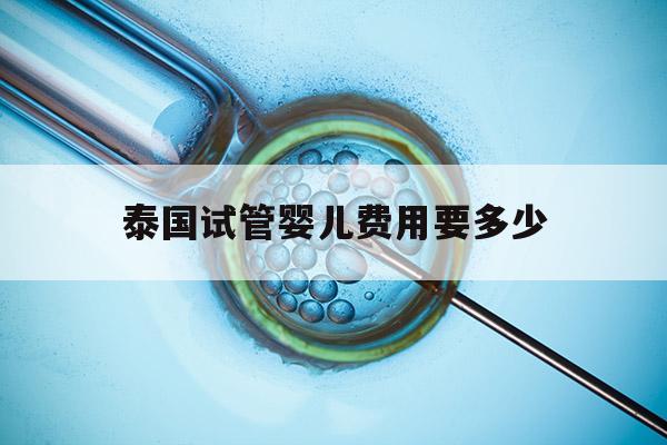 泰国试管婴儿费用要多少(泰国试管婴儿费用多少钱?成功率多少)