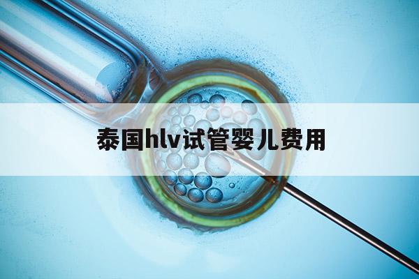 泰国hlv试管婴儿费用(泰国做试管婴儿需要多少人民币)