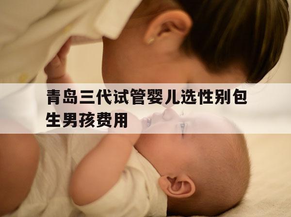 青岛三代试管婴儿选XB包生NH费用的简单介绍