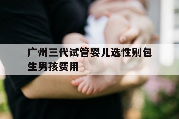 广州三代试管婴儿选XB包生NH费用,广州三代试管婴儿可以百分百怀上NH吗