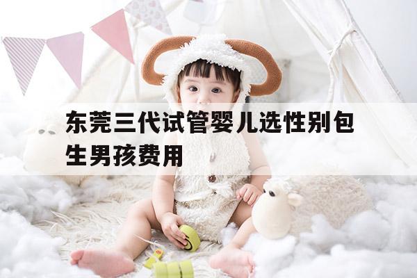 东莞三代试管婴儿选XB包生NH费用,