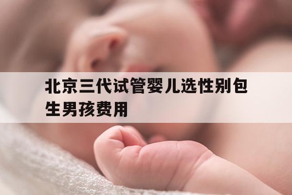 北京三代试管婴儿选XB包生NH费用,